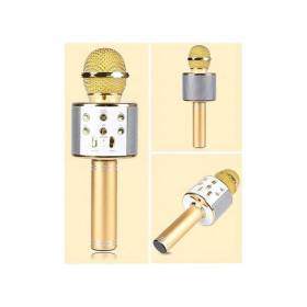 الصب المايك