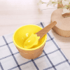 Ice Cream Bowl with spoon